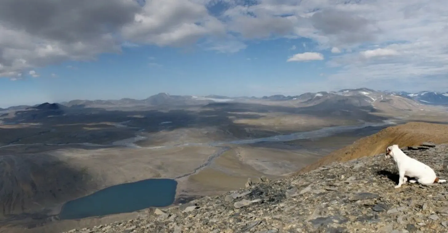 010bbc44-0663-40e4-ab42-998eaae817a8_2116x1102