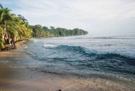 Photo by Evan Kirby on Unsplash