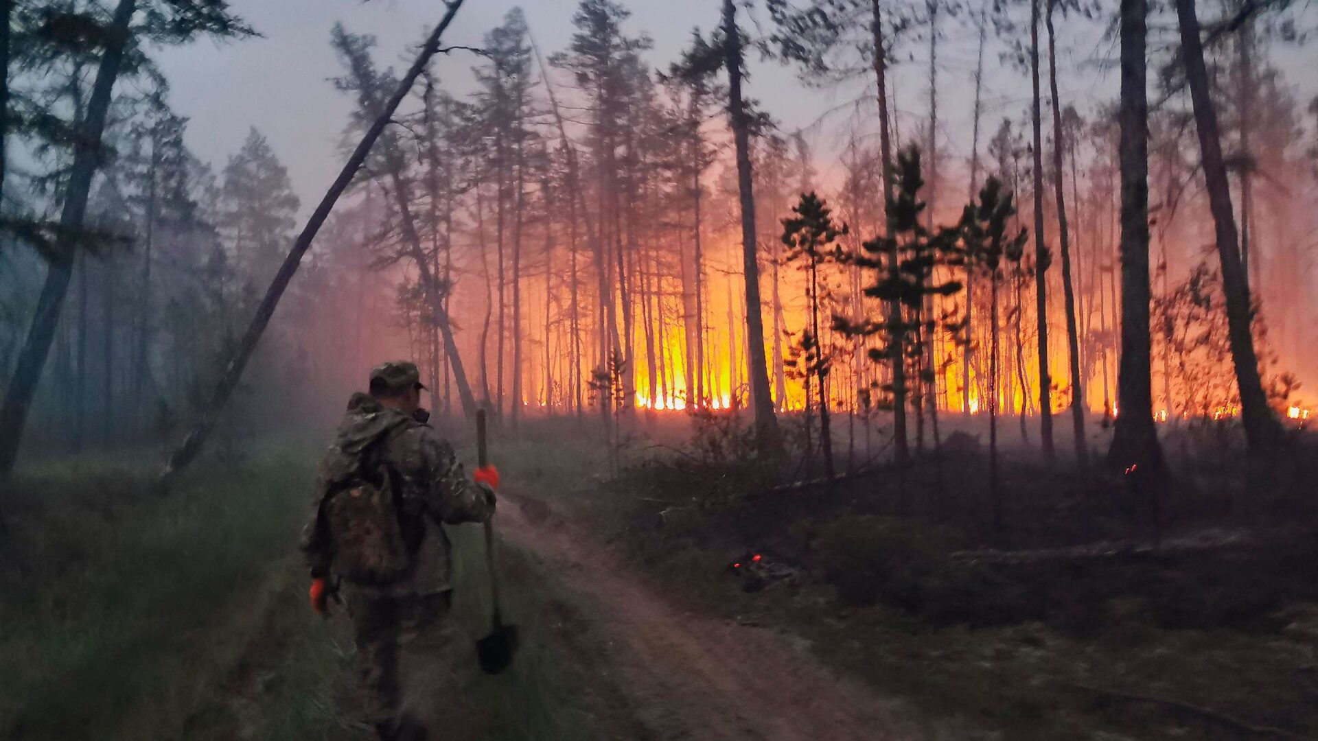 Russia Siberia forest fires