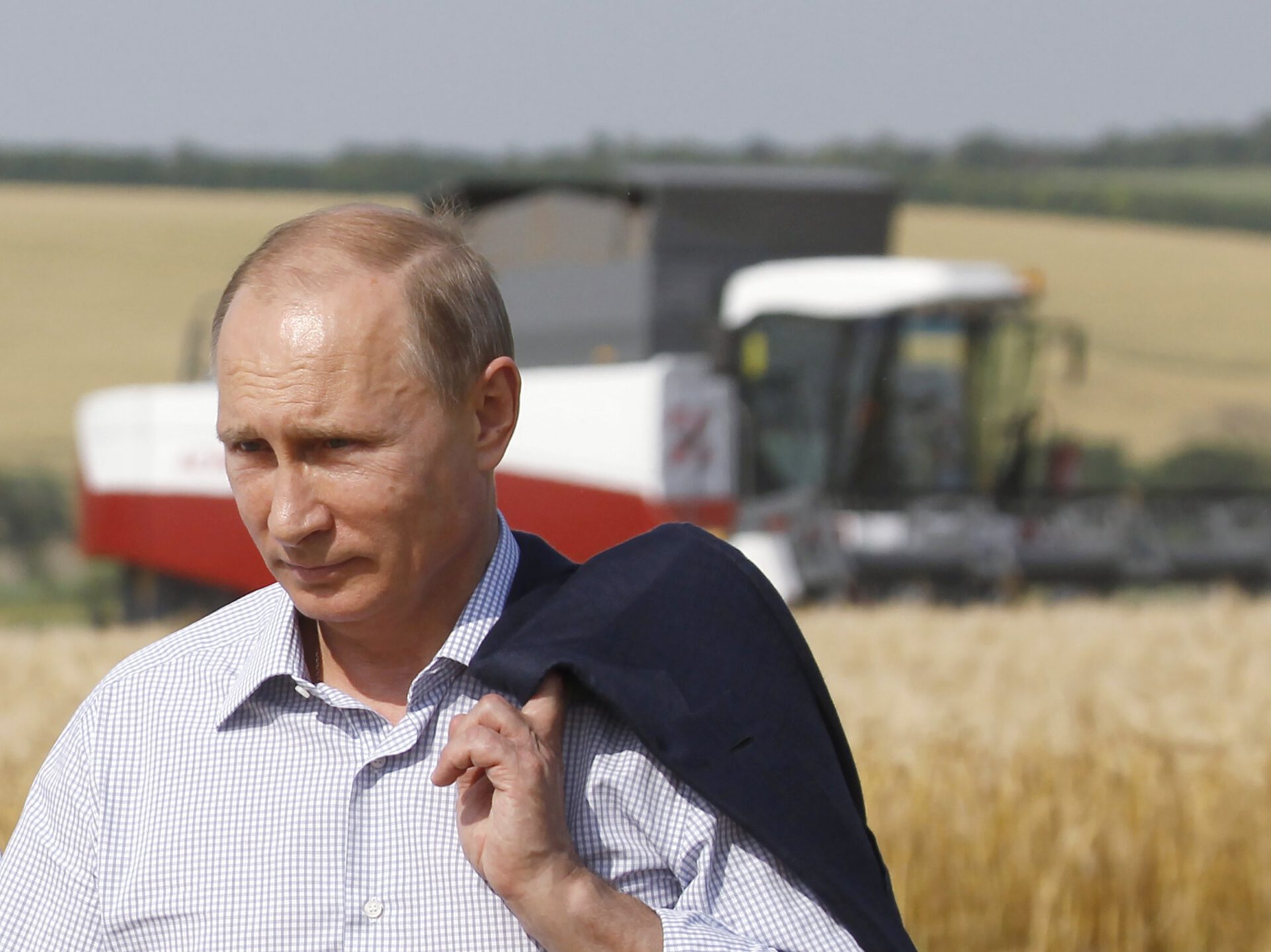 putin-barley-field