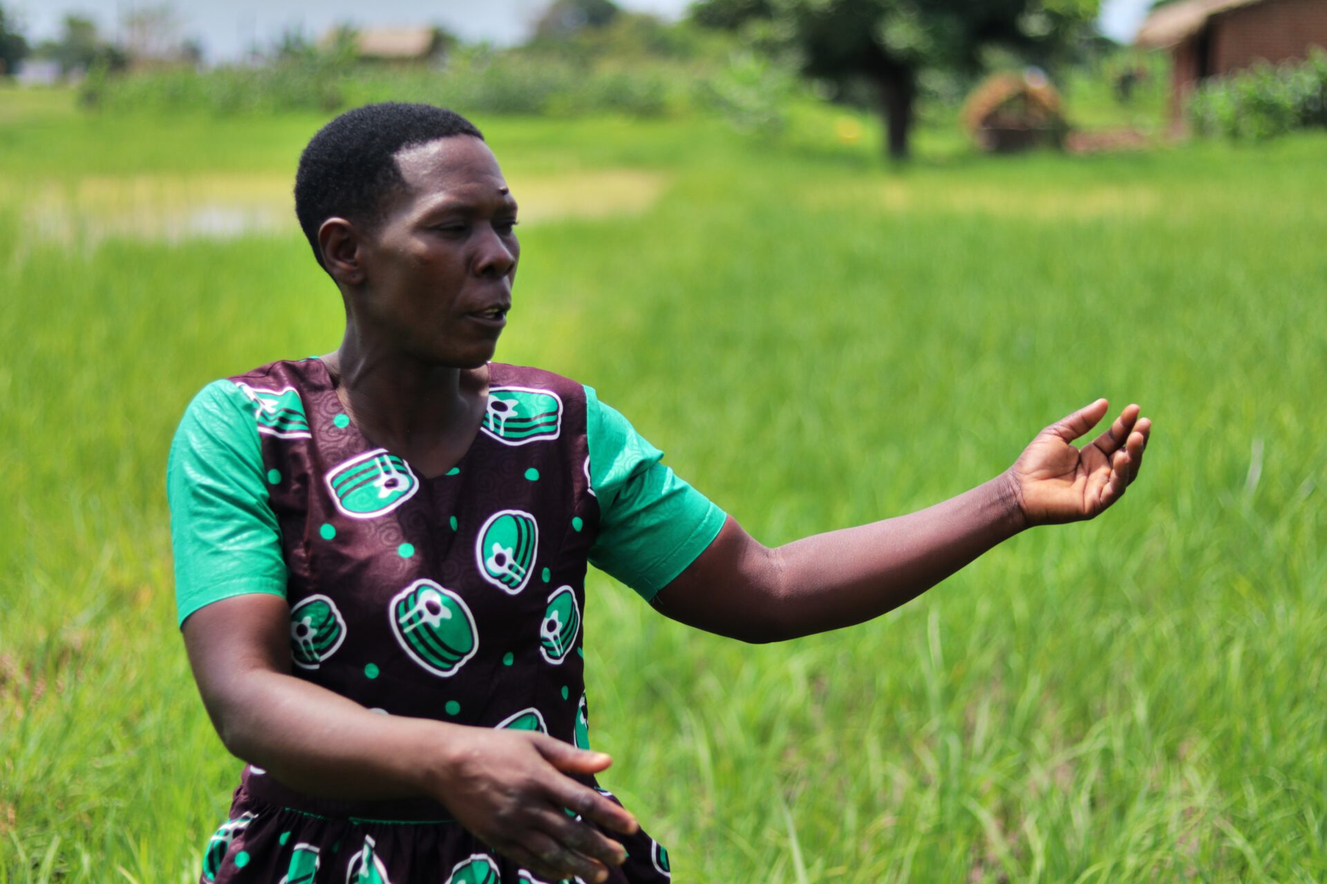 Donia Mkolongo in her rice farm Pic-by Eldson Chagara